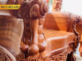 Hoang Gia mau hoa hong 6 mon 12