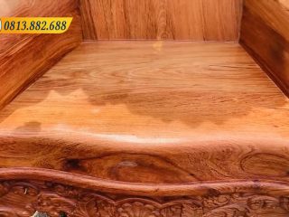 Hoang Gia mau hoa hong 6 mon 13