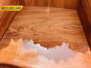 Hoang Gia mau hoa hong 6 mon 22