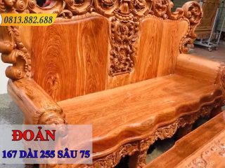 Hoang Gia mau hoa hong 6 mon 37