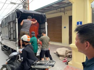 Bộ bàn ghế louis hoàng gia tân cổ điển gỗ hương đá hàng nguyên khối chân 20cm (Chú Nghĩa, Hà Nam) 10 bộ bàn ghế louis gỗ hương đá