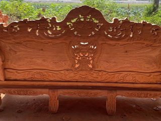 mặt lưng của đoản dài