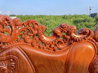 họa tiết hoa hồng lá tây trên chương đoản