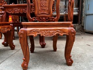 hệ chân yếm tân cổ điển