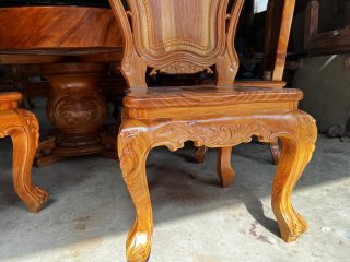 hệ chân yếm louis hoàng gia